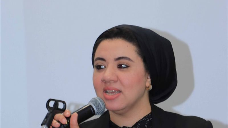 النائبة أميرة صابر،