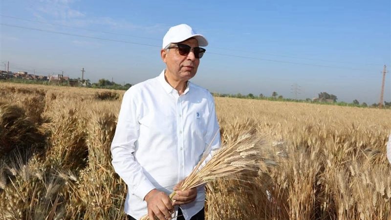 محافظ المنيا 