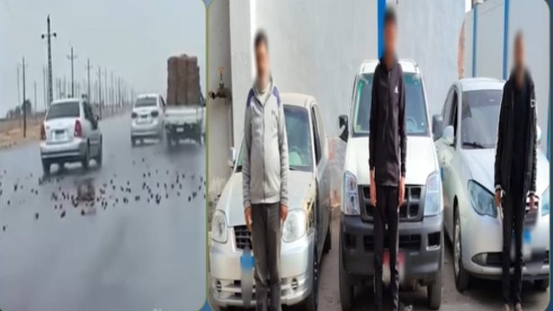 المتهمين والواقعة