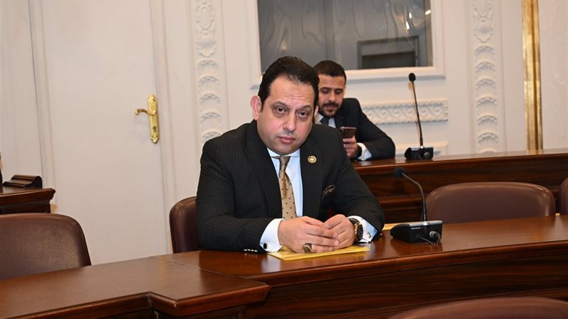 النائب محمد الجندي،