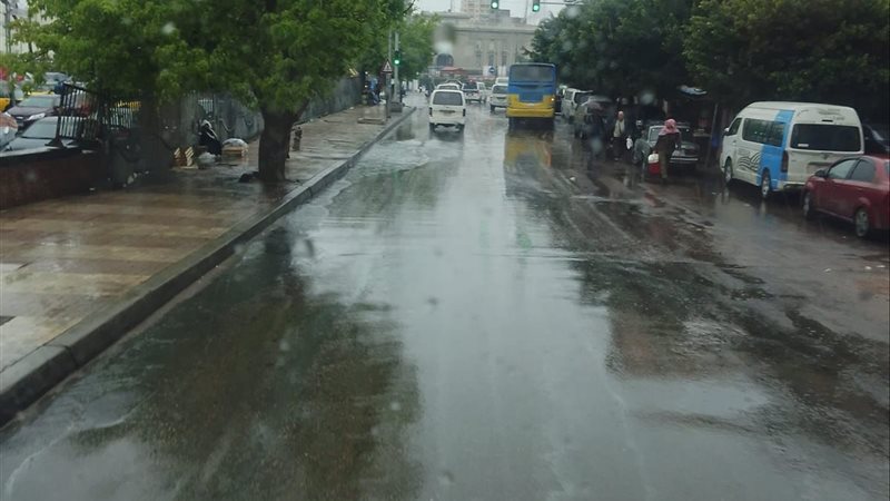 الاسكندريه 