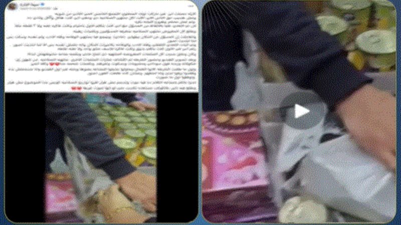 المواد الغذائية