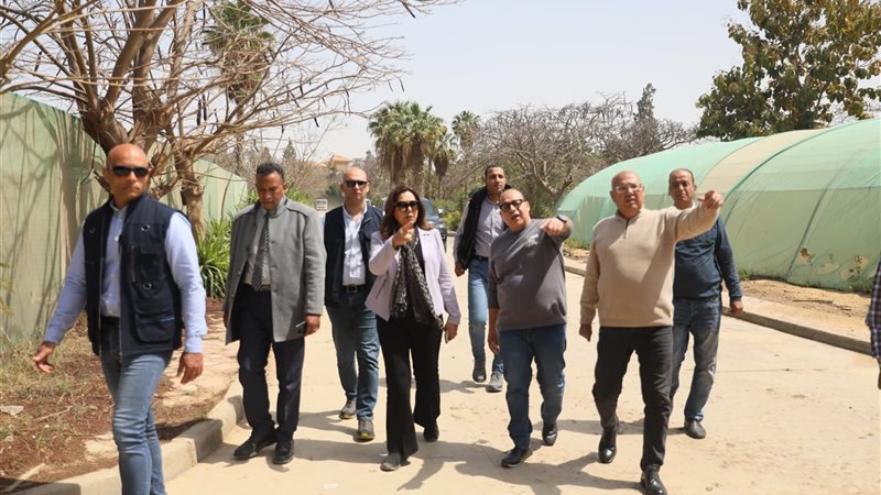 وزارة التنمية المحلية