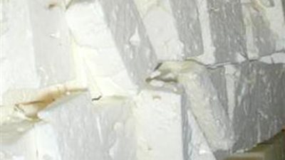 ضبط طن جبن أبيض منتهي الصلاحية داخل مصنع في دمنهور