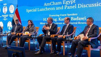 وزير البترول: المحفزات أعادت تنشيط استثمارات البحث والإنتاج