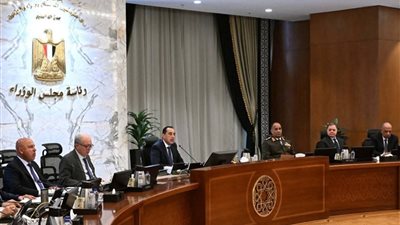 مشروعات جديدة وقانون الجمارك.. قرارات عاجلة لمجلس الوزراء