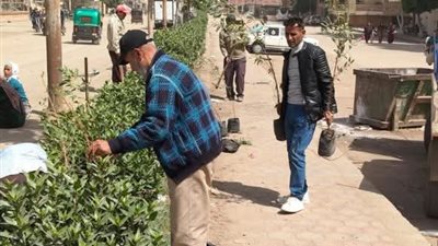 زراعة 210 شتلات بمطاي وبني مزار ضمن مبادرة «100 مليون شجرة»