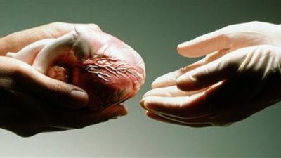 2027 يشهد إطلاق أول بنك وطني للأنسجة البشرية.. واستمارة تبرع إلكترونية قريبًا