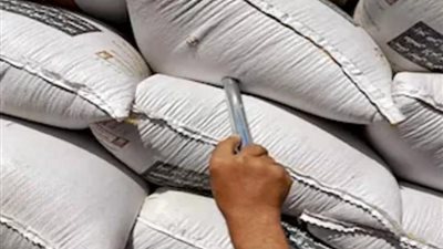 البحيرة تستعد لموسم توريد القمح 2026 بتجهيز 38 موقعًا