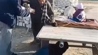 ضرب بنات أخوه.. فيديو صادم لاعتداء عم على ابنتي شقيقه بسبب الميراث