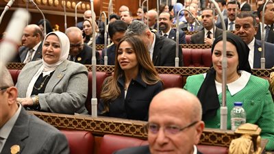 برلمانية: التوجيهات الرئاسية بشأن قانون الأحوال الشخصية خطوة حاسمة لحماية استقرار الأسرة