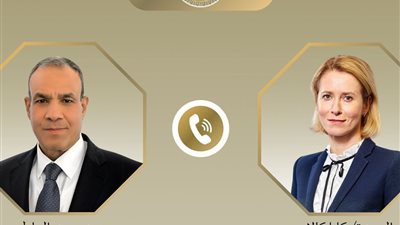 وزير الخارجية يبحث مع ممثلة الاتحاد الأوروبي جهود خفض التصعيد الإقليمي