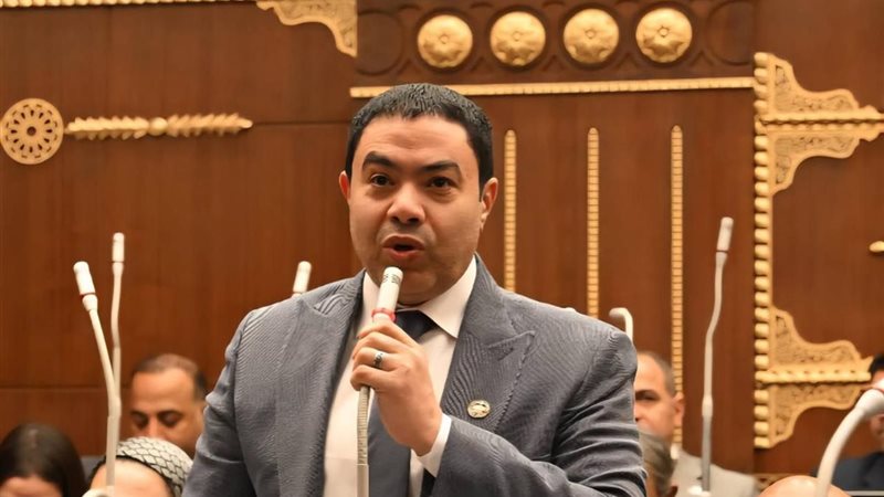 النائب إسماعيل الشرقاوي،