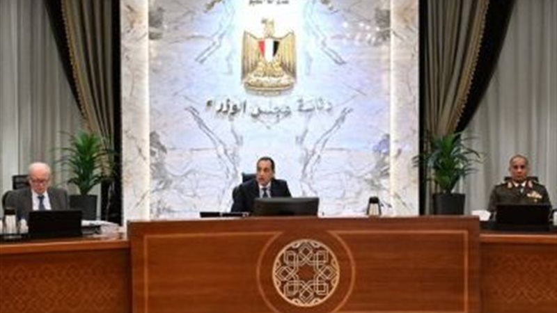 جانب من اجتماع الحكومة 