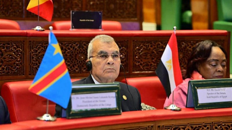 المستشار عصام الدين فريد 