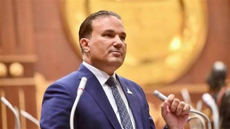 النائب تامر عبد الحميد،