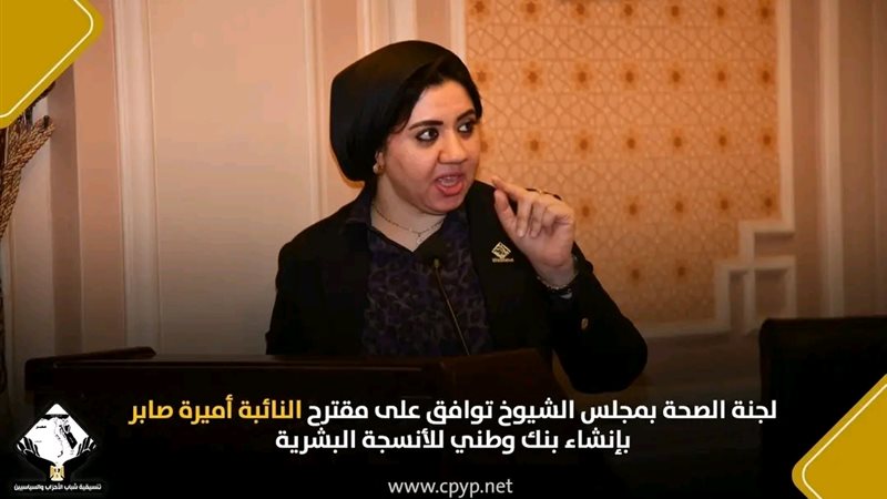 النائبة أميرة صابر