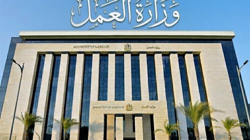 وزارة العمل 