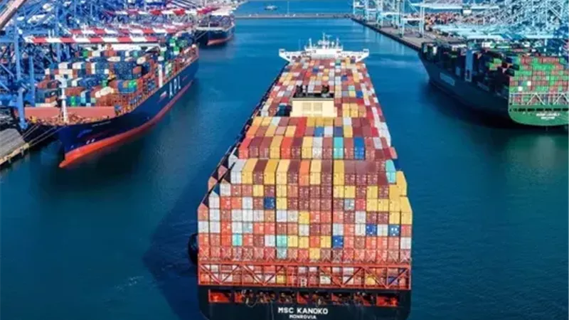 صورة موضوعية 