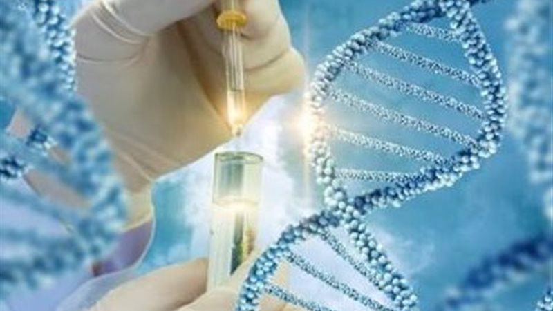 مشروع «جينوم مصر»