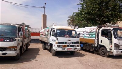 محافظ سوهاج يعلن استقبال 298 طن قمح بالشون والصوامع