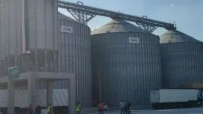 محافظة البحيرة تستعد لموسم القمح 2026 بتجهيز 39 موقعًا للاستلام وتيسير إجراءات التوريد