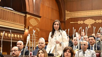 برلمانية: إعادة تشكيل المجموعة الوزارية الاقتصادية خطوة استراتيجية لمواجهة التحديات