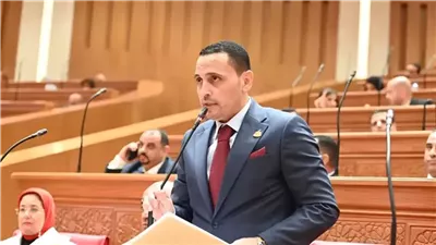 برلماني: خطاب الرئيس في ذكرى تحرير سيناء حمل رسائل طمأنة للمصريين