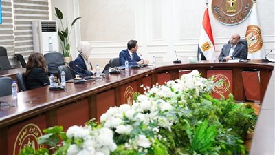 من التدريب إلى التوظيف مباشرة.. مبادرة جديدة لخلق فرص عمل داخل مصر وخارجها