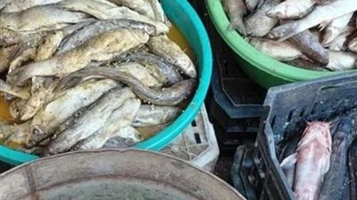 حملة رقابية تضبط 51 قضية لحماية المستهلك في البحيرة خلال أسبوع