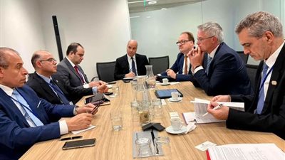 وزير الاستثمار يبحث مع OECD تطوير بيئة الاستثمار في مصر