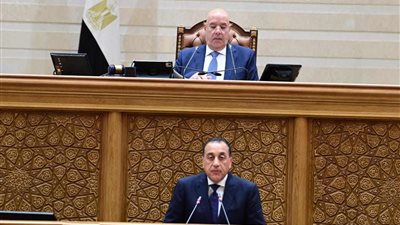 مدبولي: الحمد لله لم يحدث أي نقص في أي سلعة والمخزون كافي