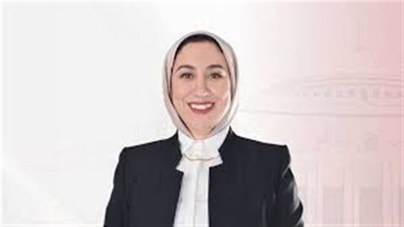 النائبة صافيناز طلعت،