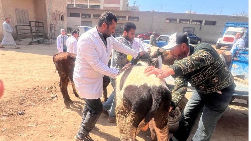 قافلة بيطرية