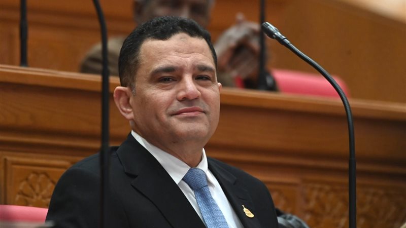 النائب أمير الجزار ، عضو مجلس النواب 