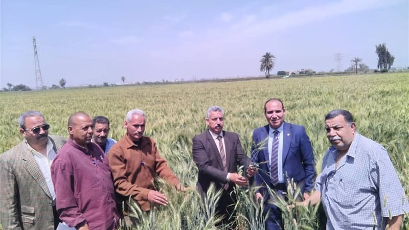 الأراضي الزراعية