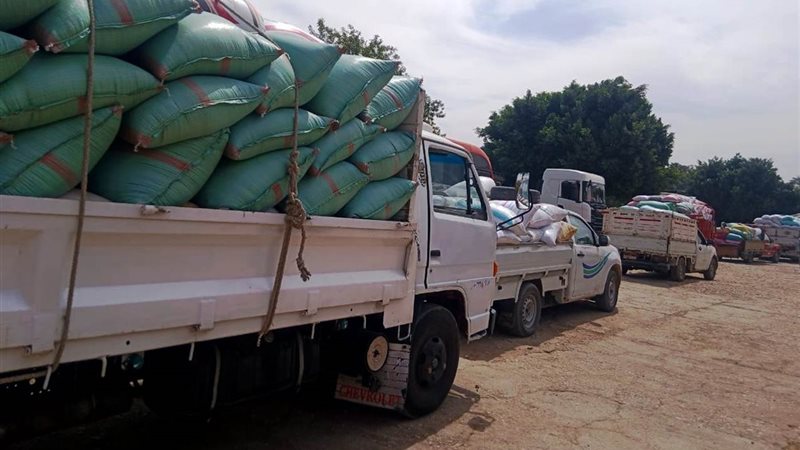 توريد القمح بسوهاج