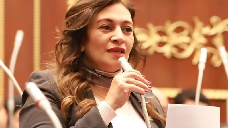 النائبة نيفين فارس،