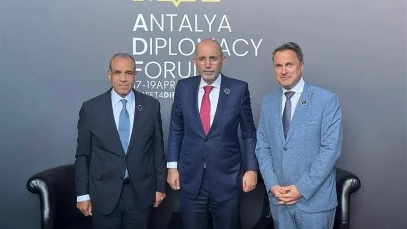 وزير الخارجية 