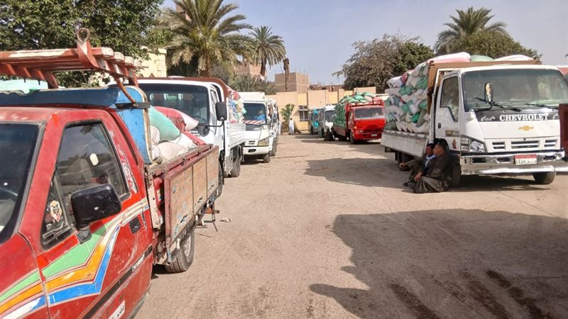 توريد القمح بسوهاج