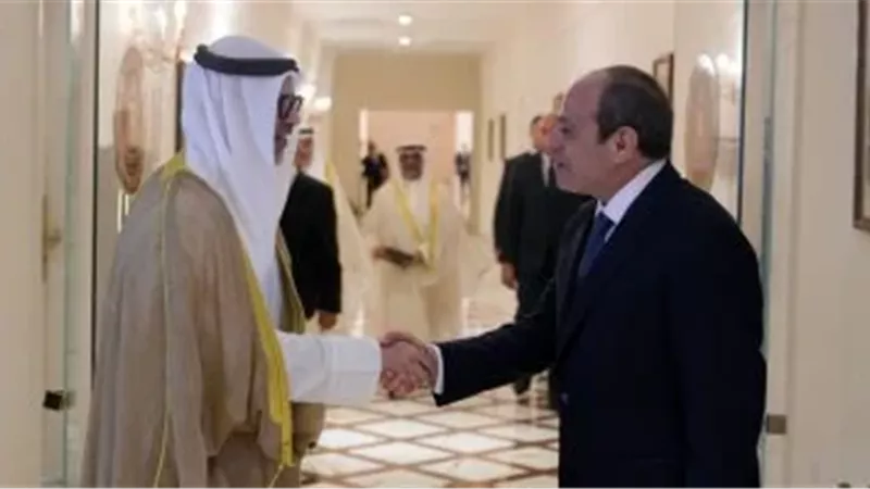 الرئيس عبد الفتاح