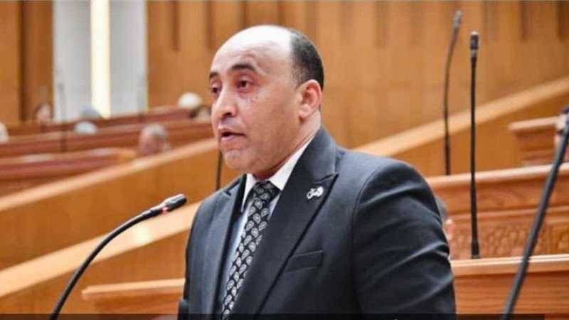 النائب حسام حسن عضو