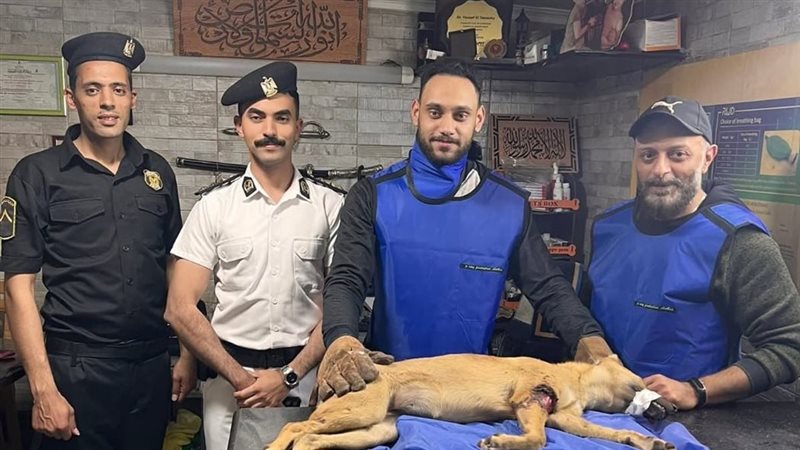 الطبيب المعالج 