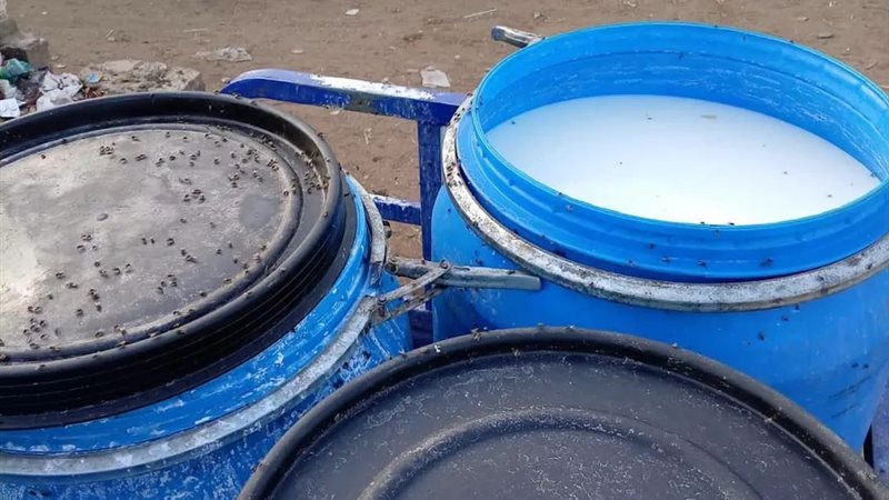 ألبان مغشوشة