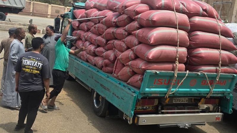 توريد القمح بسوهاج