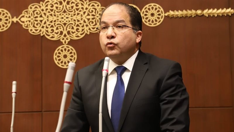 النائب عادل اللمعي