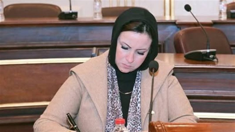 النائبة داليا سعد