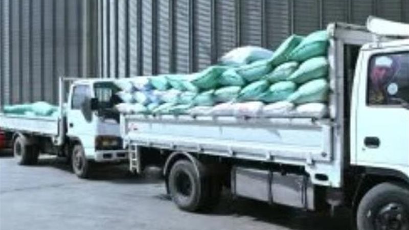 توريد القمح