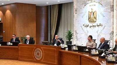 عفو عيد الأضحى.. تعرف على قرارات مجلس الوزراء اليوم 