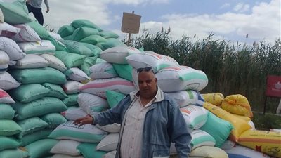 توريد 3353 طن قمح لمواقع التخزين والصوامع في الدقهلية 